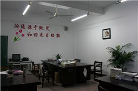 辦公家具公司——辦公室盆栽不宜過多