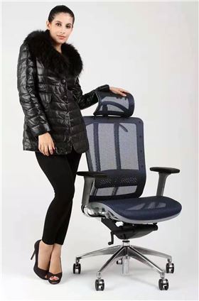 多功能人體工學椅