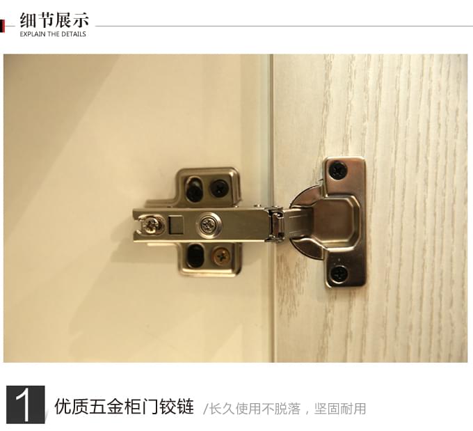 文件資料儲(chǔ)存柜 現(xiàn)代簡(jiǎn)約文件柜