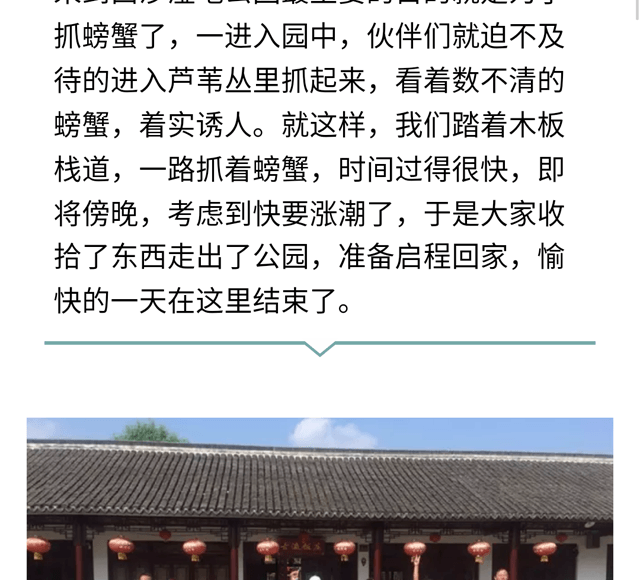 碧江員工崇明島一日游