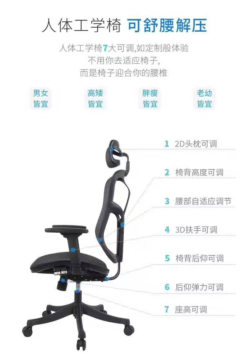 人體工學(xué)椅