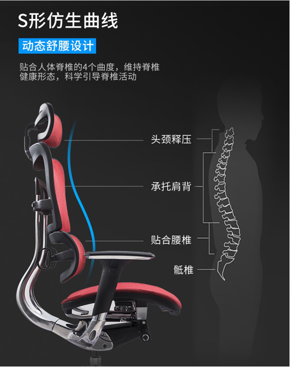 人體工學(xué)椅