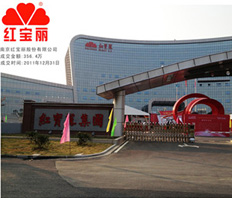 紅寶麗集團(tuán)方案定制